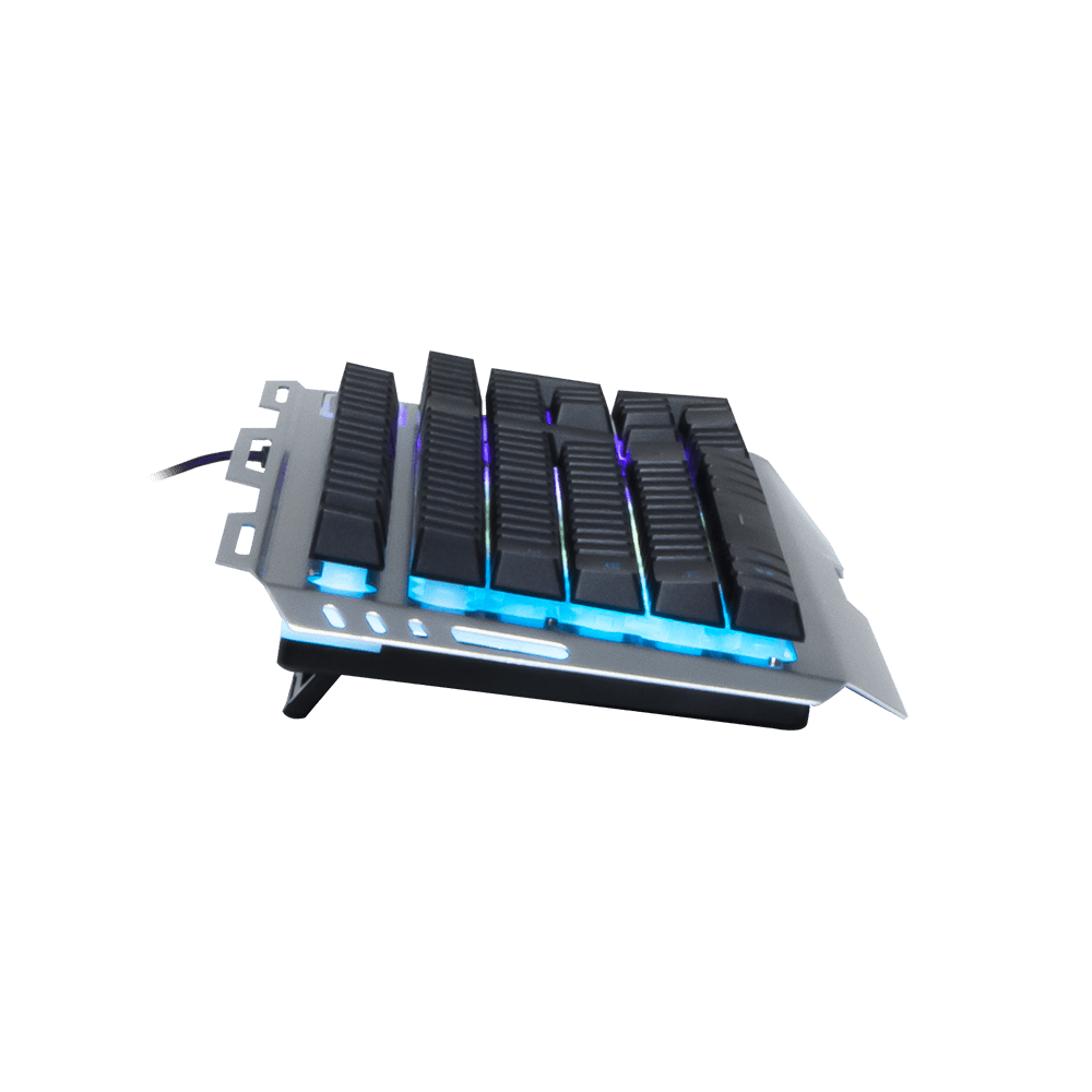RAIDER V1 Gaming keyboard