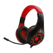RAIDER HS1 GAMING
