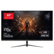 25" RAIDER 240Hz PRO Gaming