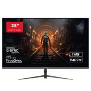 25" RAIDER 240Hz PRO Gaming