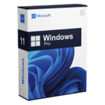 Windows 11 Pro inclusief installatie