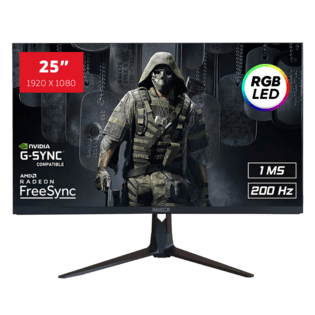 25" RAIDER-200Hz PRO GAMING