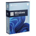 Windows 11 Home inclusief installatie