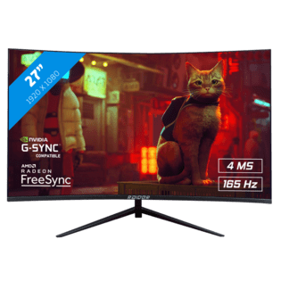 27" RAIDER 165Hz CURVED PRO GAMING