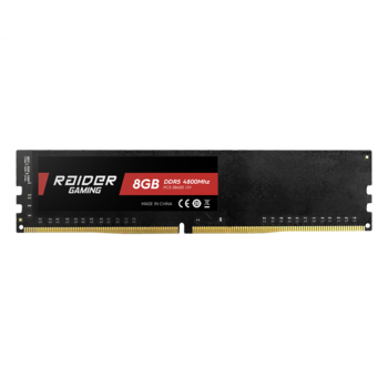 RAIDER GAMING 8GB DDR5-4800