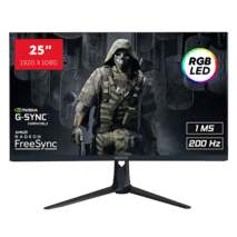25" RAIDER-200Hz PRO GAMING