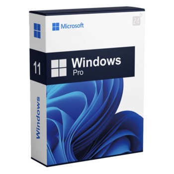 Windows 11 Pro inclusief installatie