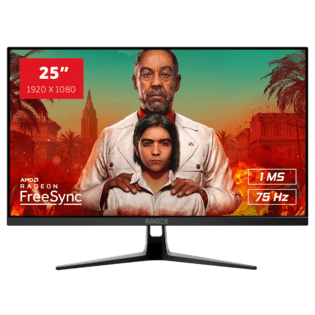25" RAIDER-75Hz GAMING
